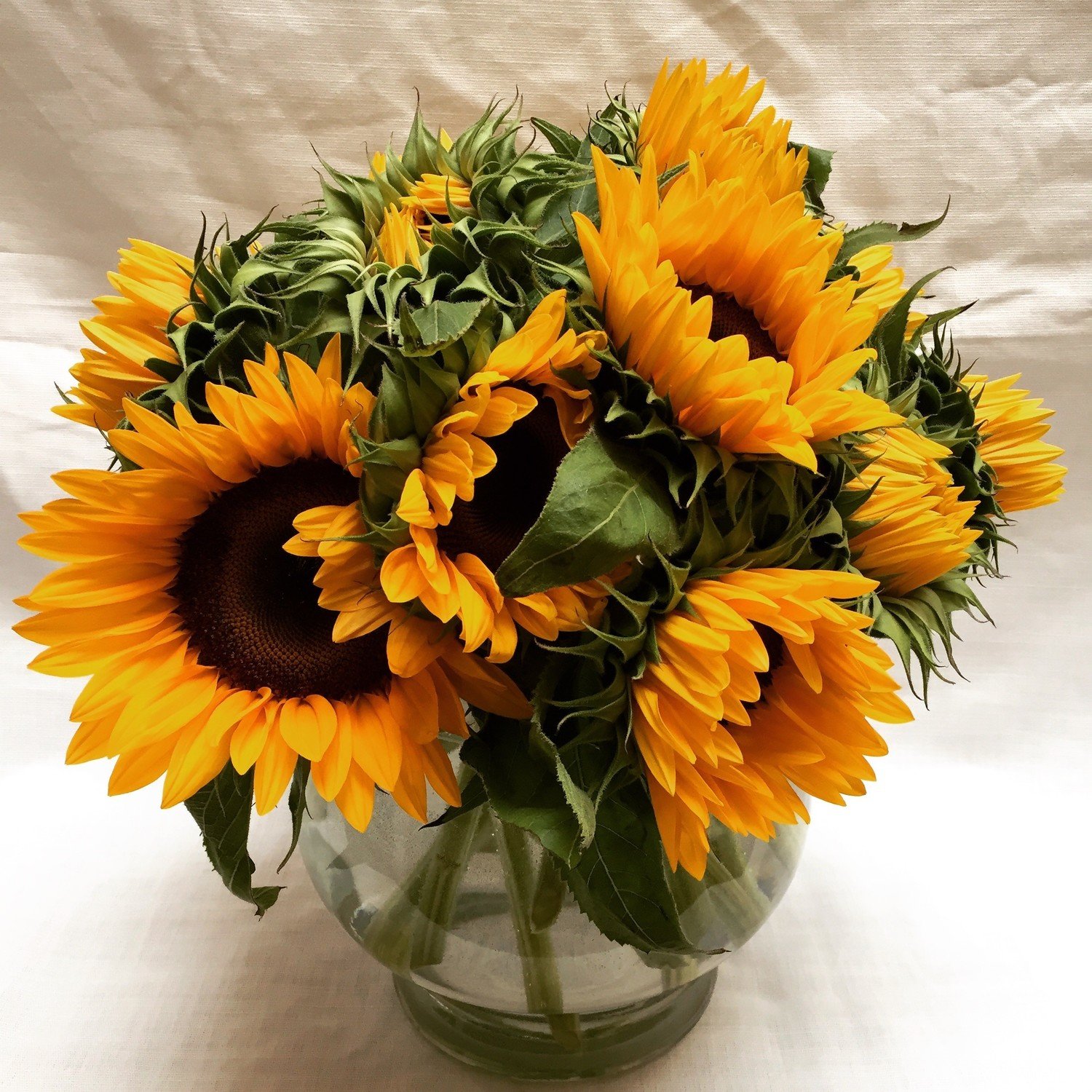 Super Sunflowers by Twigs Florist Super Sunflowers by Twigs Florist