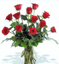 Classic Dozen Roses by Twigs Florist