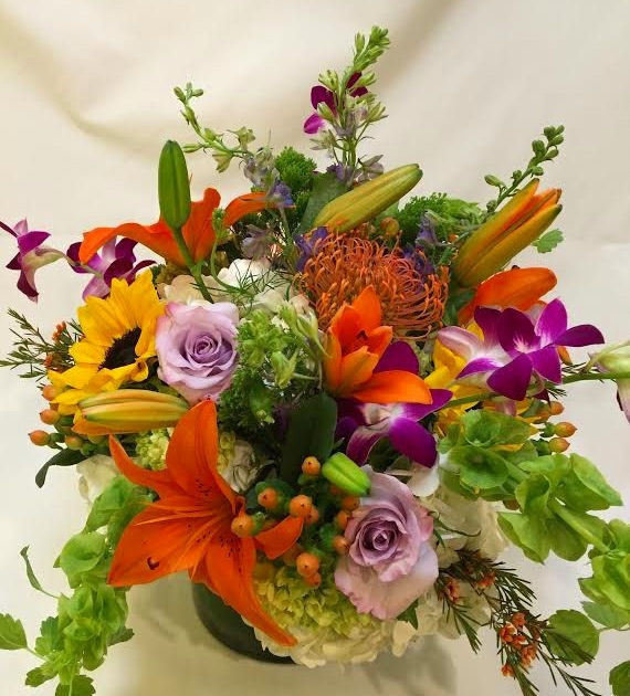 Wild Compact by Twigs Florist Wild Compact by Twigs Florist