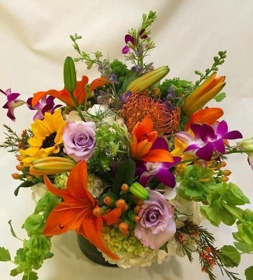 Wild Compact by Twigs Floral Design