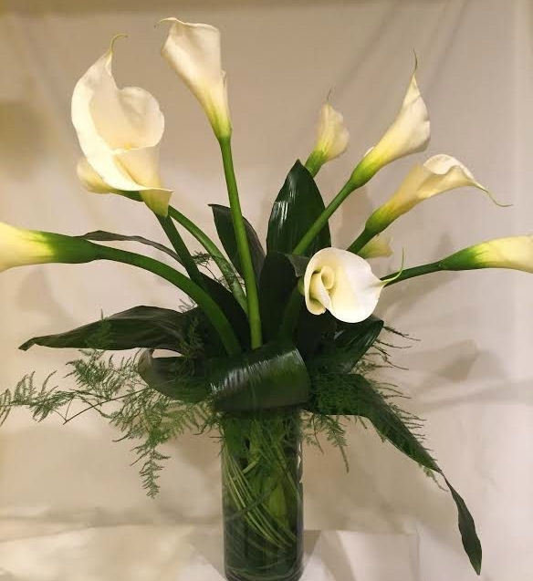 Calla Dream by Twigs Florist
