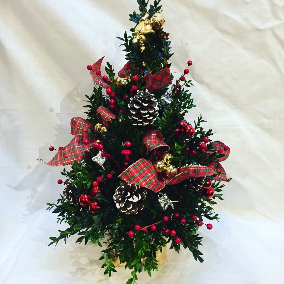 Traditional Boxwood Tree by Twigs Florist