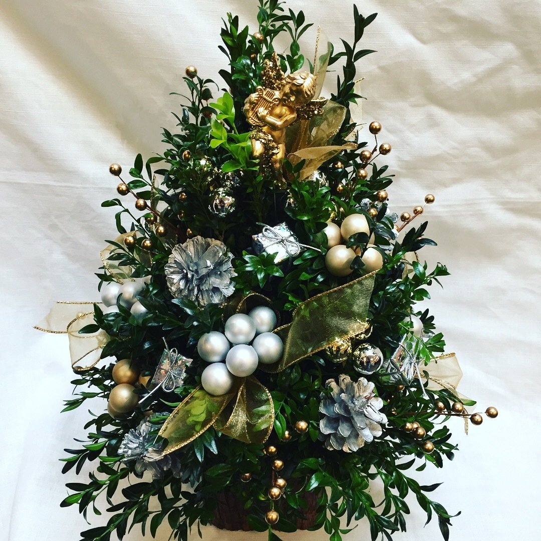 Silver and Gold Boxwood Tree by Twigs Florist