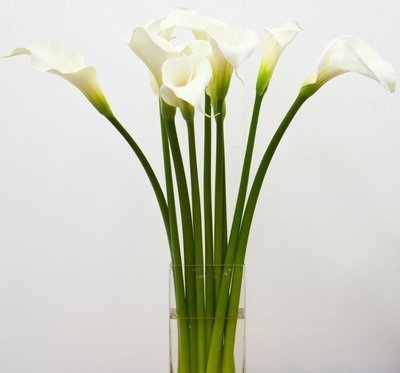 Callas by Twigs Floral Design