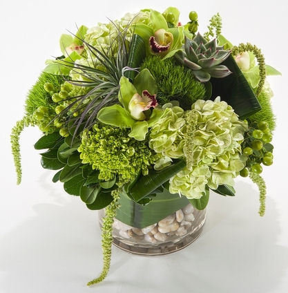 Green Machine by Twigs Florist