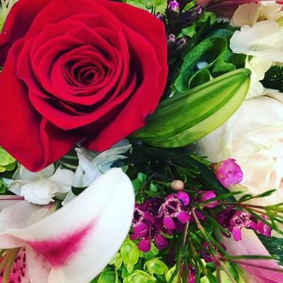 Valentine's Day Collection