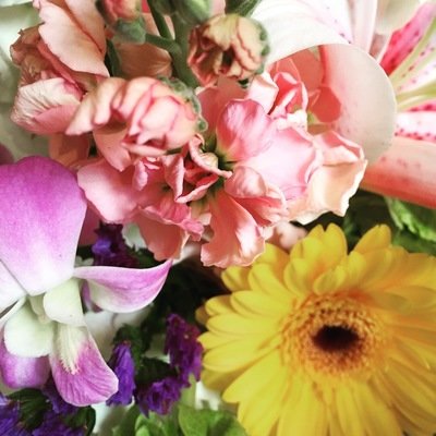 Spring Collection