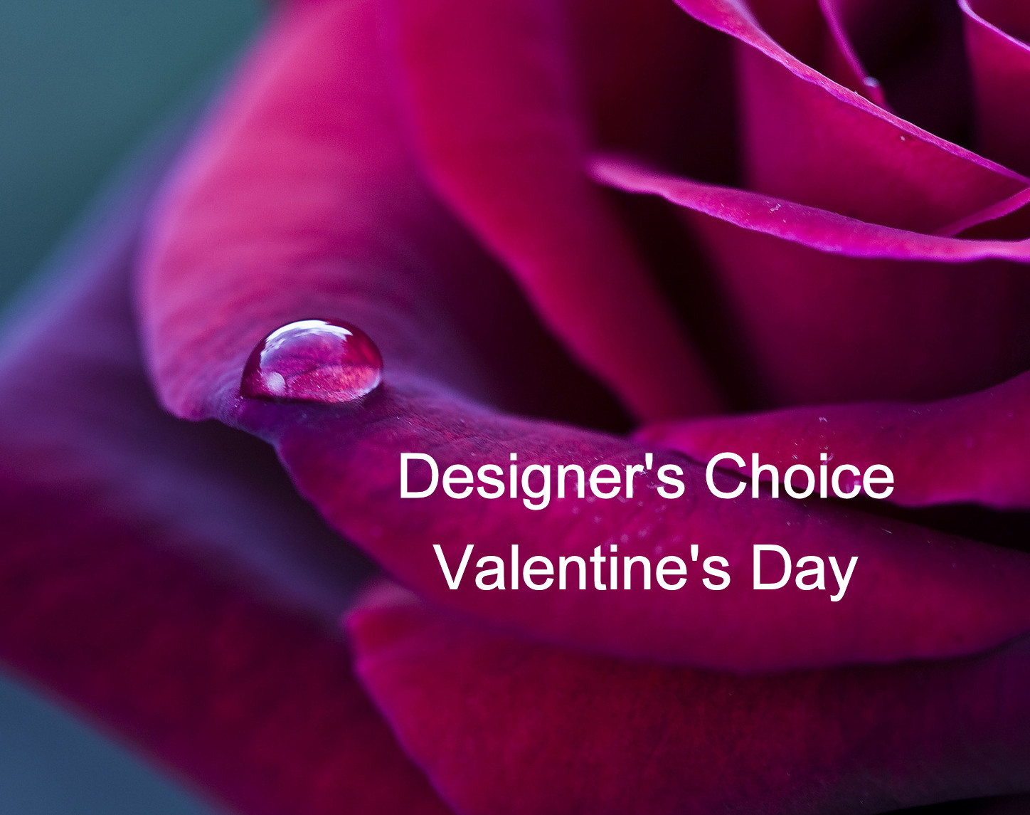 Designer's Choice Valentine's Tall-Profile by Twigs Floral Design