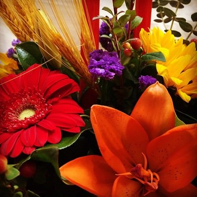 Autumn Flowers