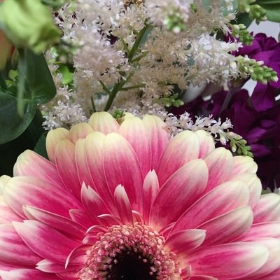 Congratulations Flowers