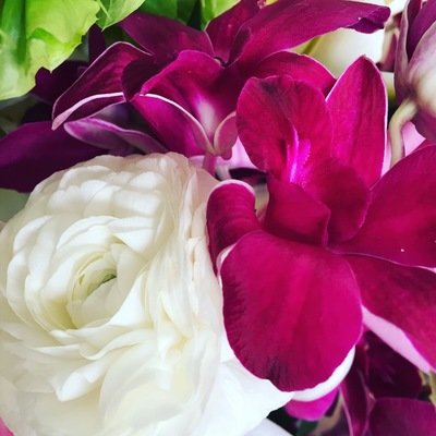 Just Because Flowers