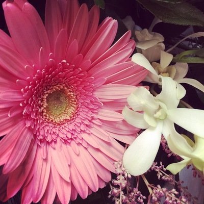 Browse Flower Designs