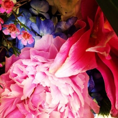 Mother's Day Flowers