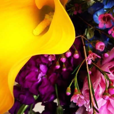 Summer Flowers