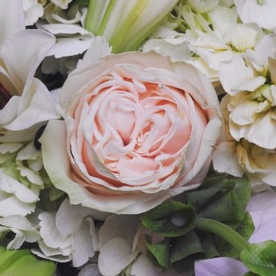 Luxe Collection Flowers