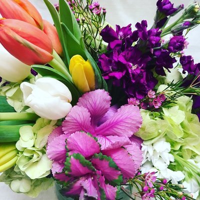 Tulip Tip Toe by Twigs Floral Design