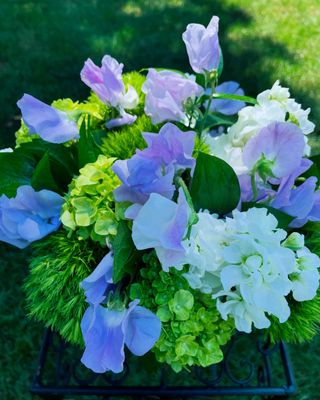 Sweetpea by Twigs Floral Design