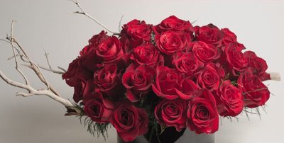 Tree Roses by Twigs Floral Design