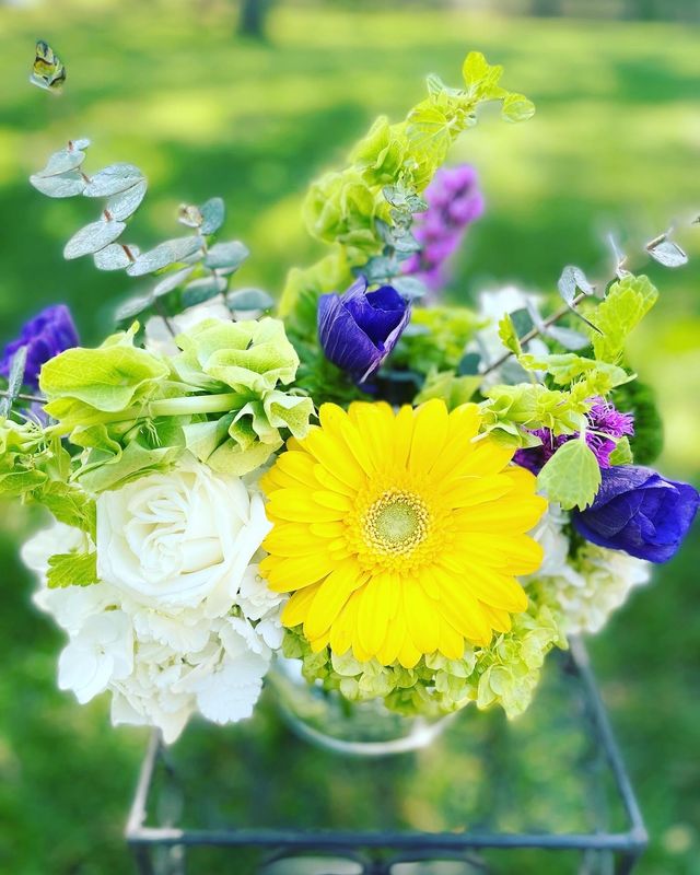 Citrus by Twigs Floral Design