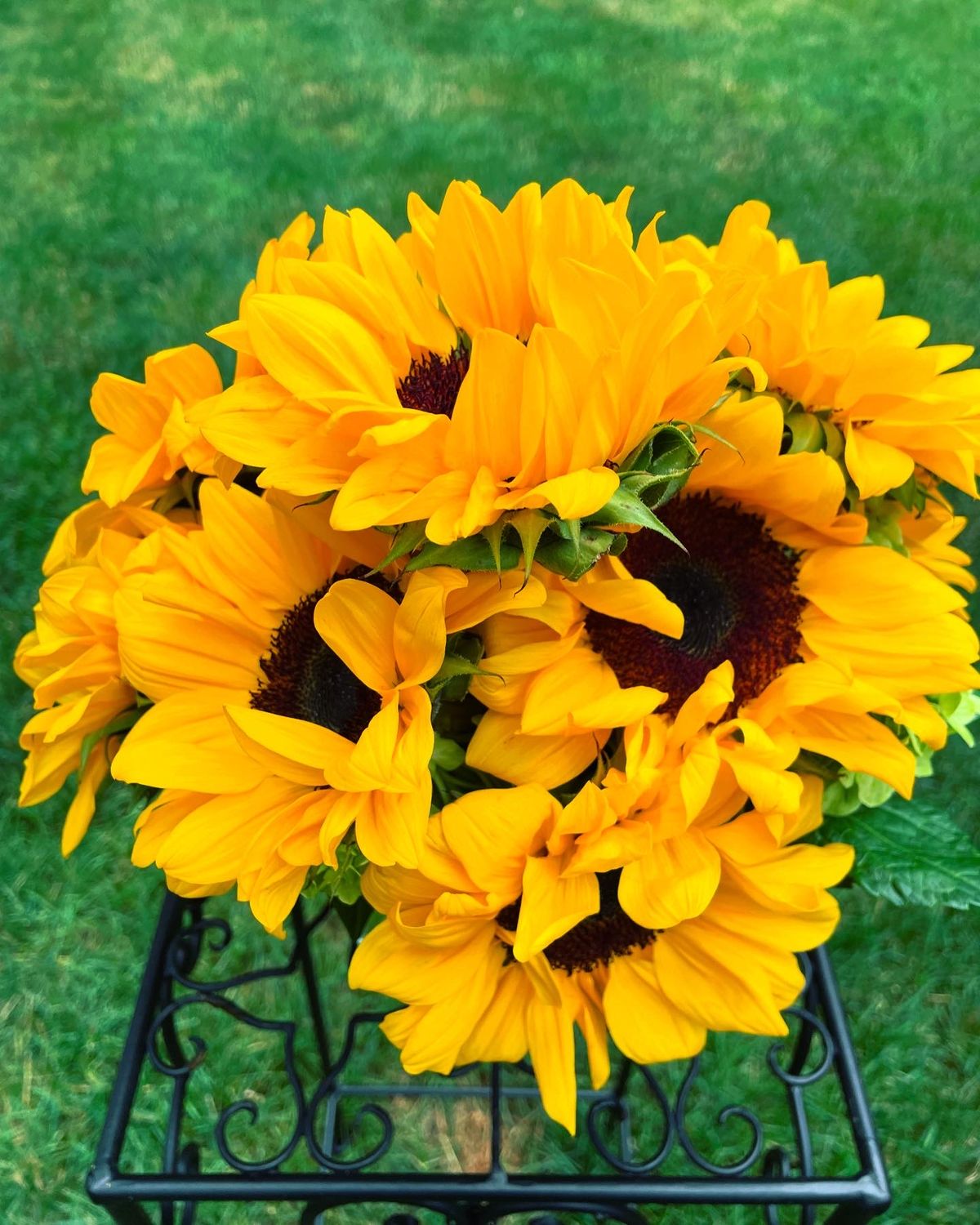Super Sunflowers by Twigs Floral Design