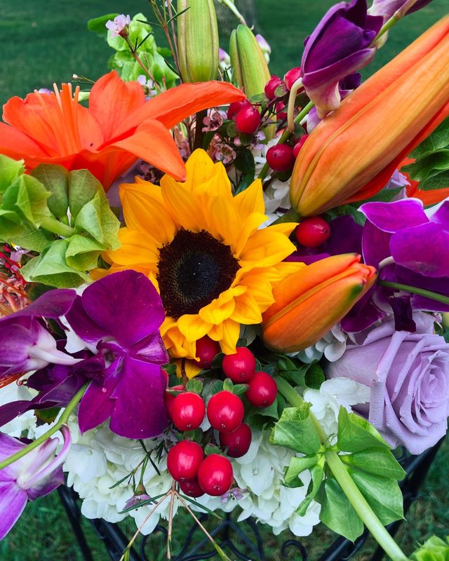 Wild Compact by Twigs Floral Design