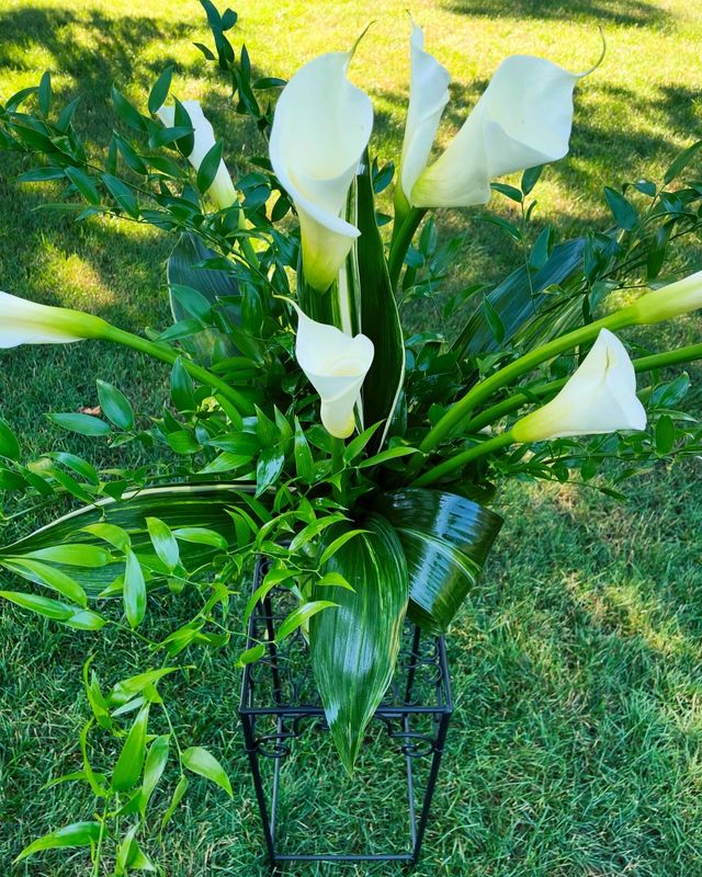 Calla Dream by Twigs Floral Design