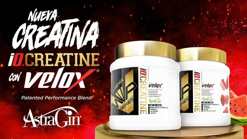 CREATINA VELOX IOGENIX
