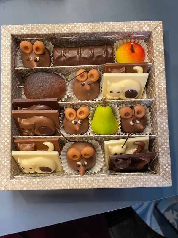 Naschkatze gross Naschkatze gross