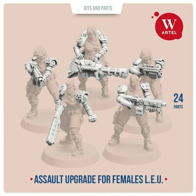 Assault Upgrade Pack for Female Enforcers