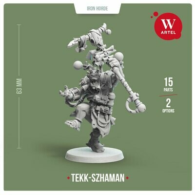 Tekk-Szhaman of Iron Horde