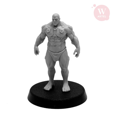 Posthuman Neowarrior
