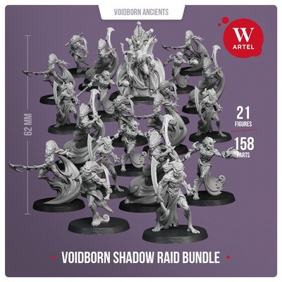 Voidborn Shadow Raid Bundle