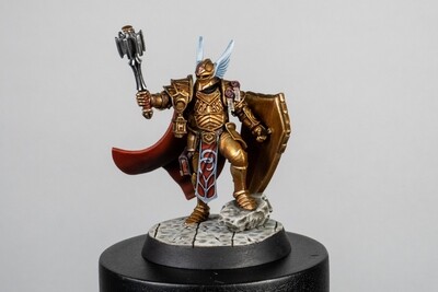 Magnetic Heroes: The Paladin