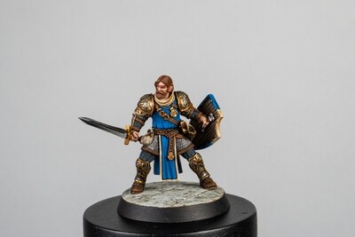 Magnetic Heroes: The Fighter