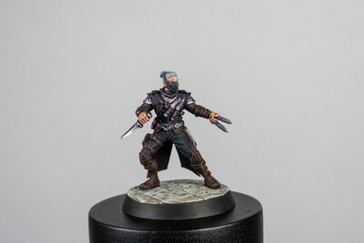 Magnetic Heroes: The Rogue