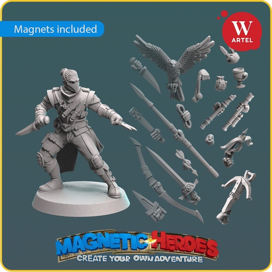 Magnetic Heroes: The Rogue