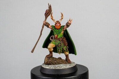 Magnetic Heroes: The Druid