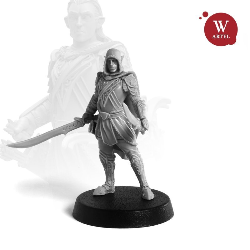 Warrior Elf