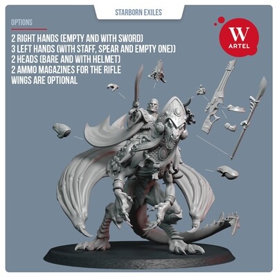Wayseer Dragonrider of Starborn Exiles