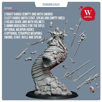 Wayseer Wyrmrider of Starborn Exiles