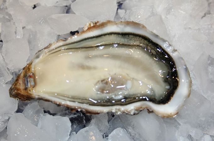 Austern (6 Stück) - Verkostung vor Ort
