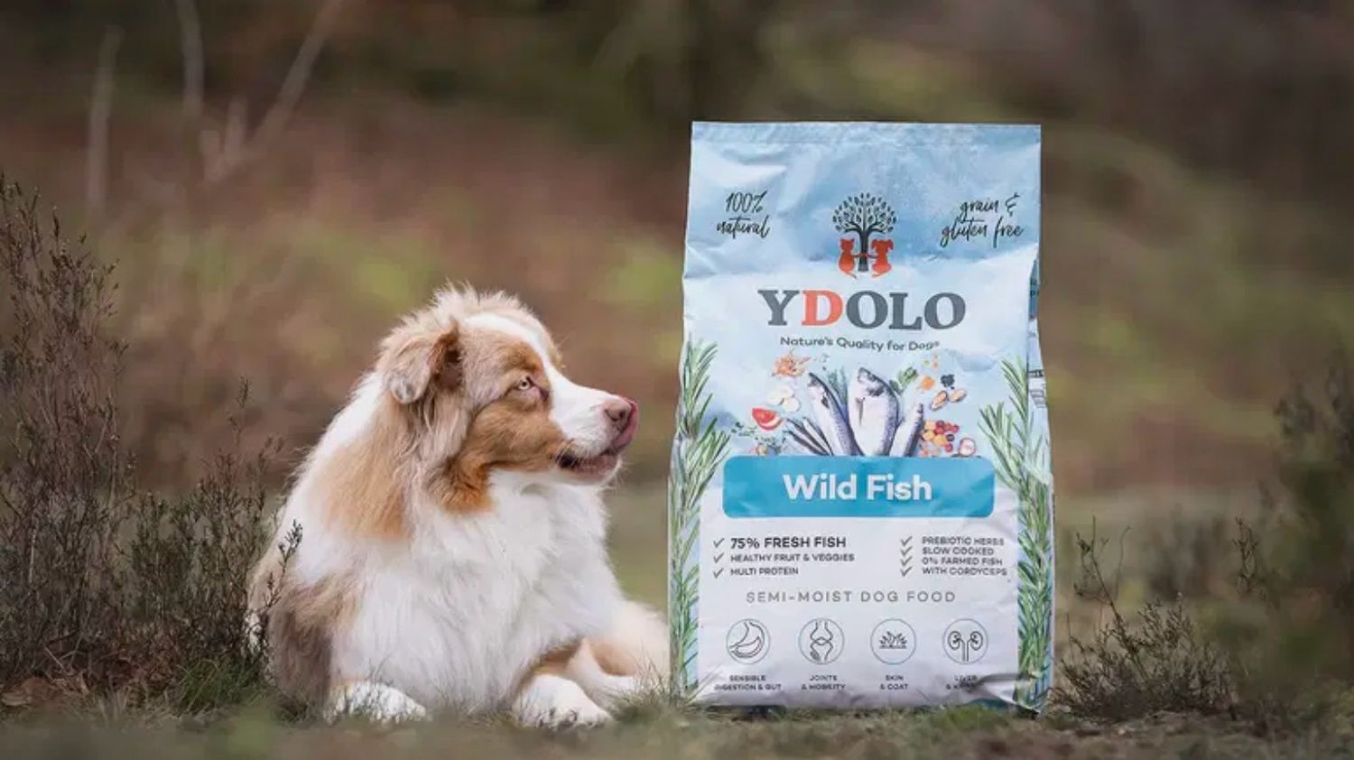 Ydolo Wild Fish korrel 100g