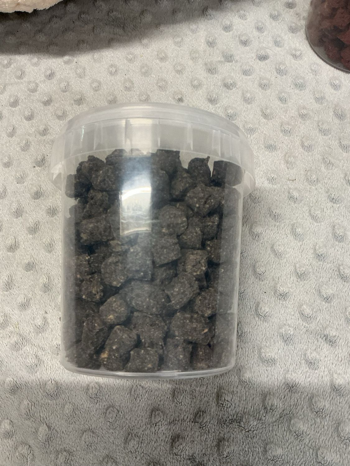 Fanusdogfood Lamtrainers