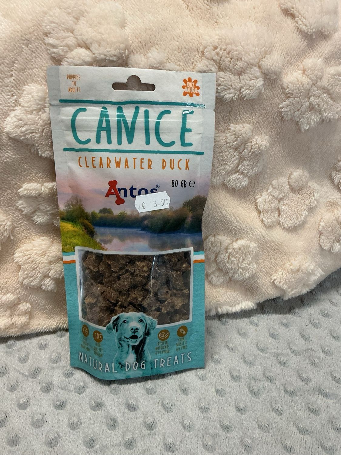 Canice clearwater duck