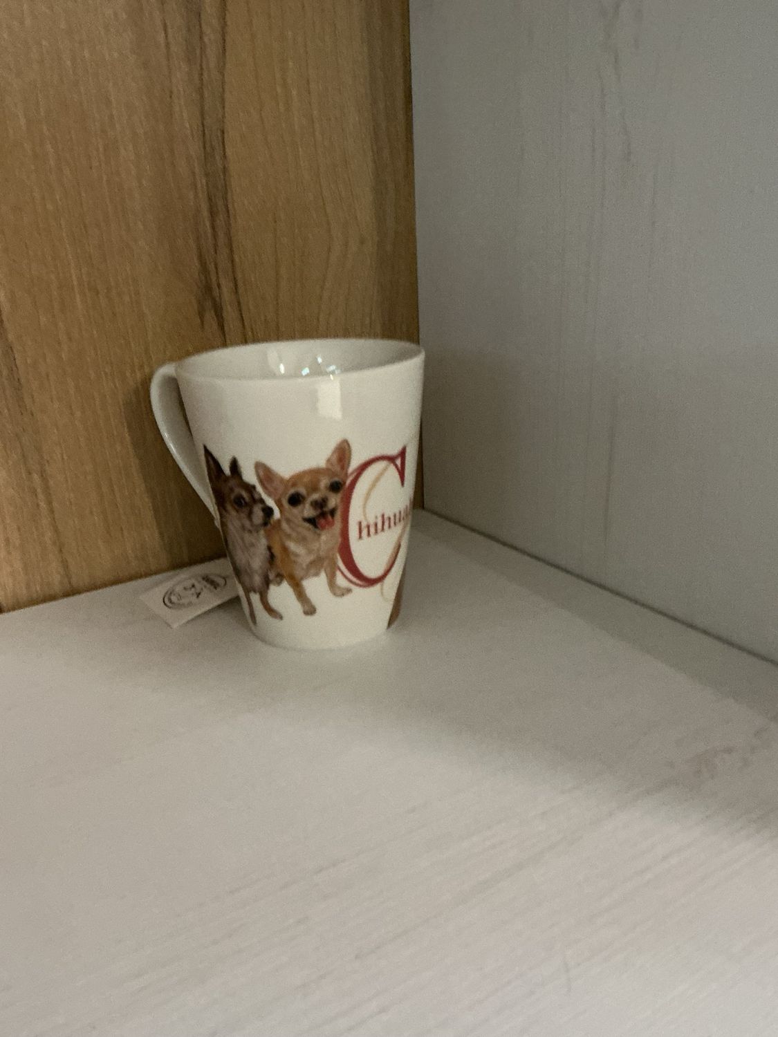Mok chihuahua