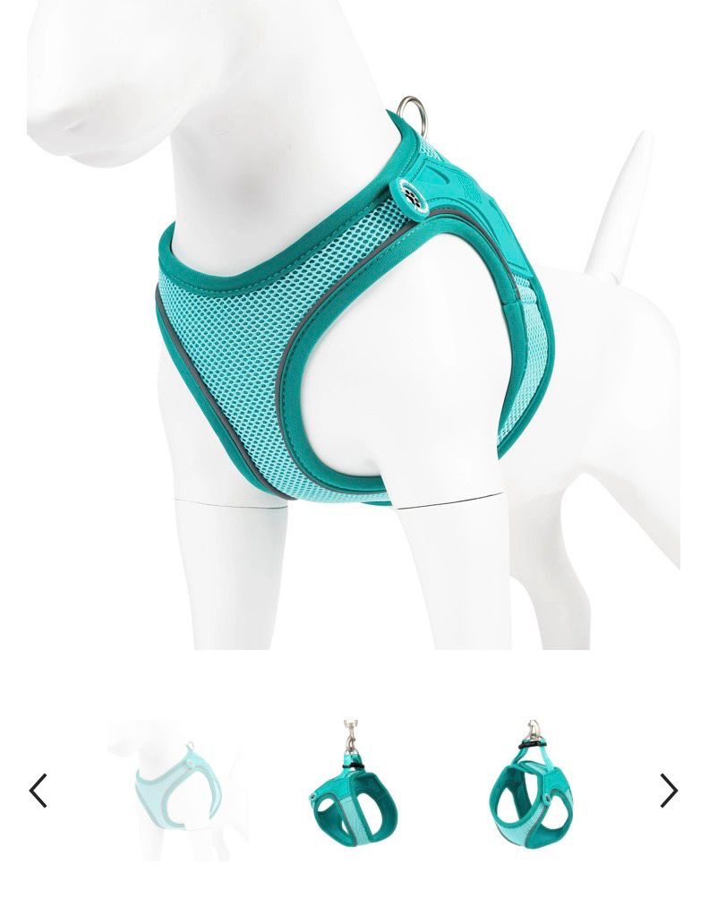 Harnas MaxMolly air vest S chest 37-41cm turquoise