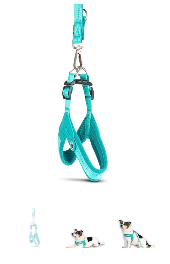 Harnas MaxMolly Q-fit XS chest 40-44cm Jade