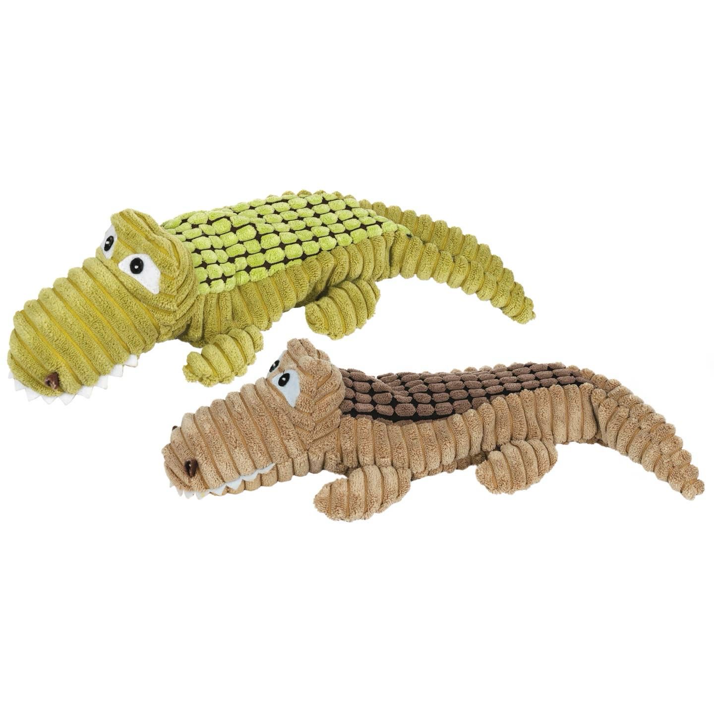 Alligator