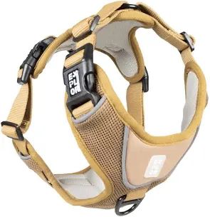 Explorer harnas maat XL kleur honey gold