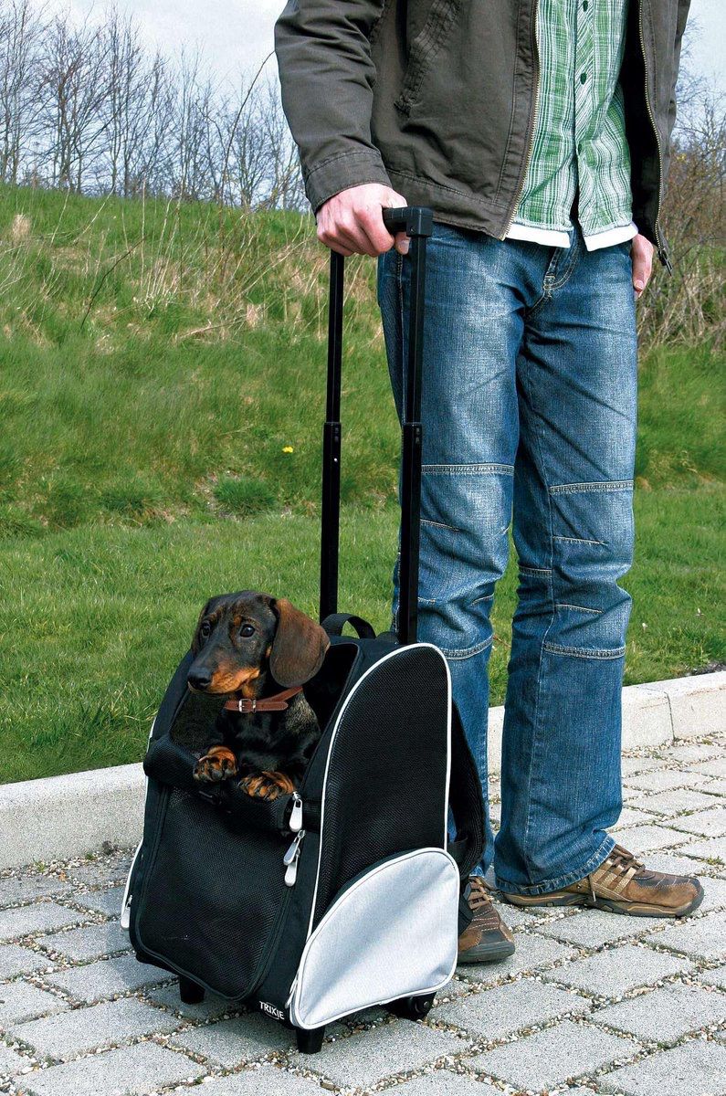 Trolley Trixie rugtas zwart grijs